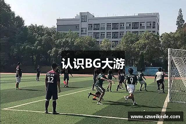 认识BG大游